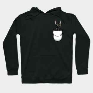 Funny Cornish Rex Pocket Cat Hoodie